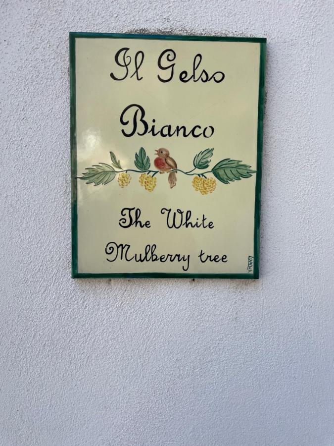 Il Gelso Bianco -The White Mulberry Tree Villa Ravello Buitenkant foto